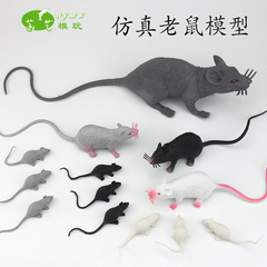 仿真老鼠模型塑胶白灰黑鼠拍摄写真道具教具整蛊愚人鬼节儿童玩具