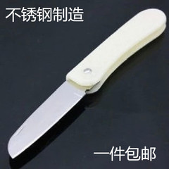 代理批发 日美优质不锈钢水果刀 削皮果刀 瓜果刀 厨师刀 RM-5102