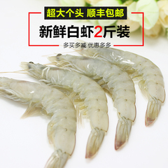 [优鲜]新鲜白虾 鲜活虾速冻 可剥新鲜虾仁 南美白虾 1kg 包顺丰