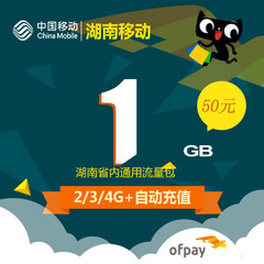 湖南移动 流量包1G 本地流量 本省使用  当月有效 D