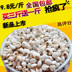 买3送1包邮 新货新疆小薏米 薏米仁薏仁米苡仁五谷杂粮粗粮油500g