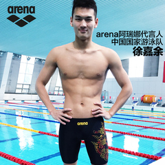 arena阿瑞娜男士齐膝泳裤五分裤 高弹舒适耐穿专业运动健身款