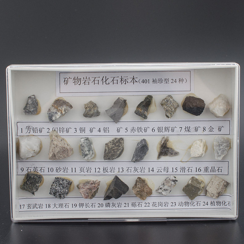 矿物岩石化石标本 24种岩石化石 小学科学配套 科普展示教学仪器 岩石