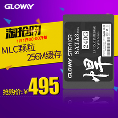 光威Gloway 悍将240G固态硬盘SATA3电脑台式笔记本ssd硬盘非256G