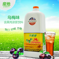 b地果汁 乌梅汁1.9L/桶 浓缩果酱浓浆 果味饮料 咖啡奶茶原物料
