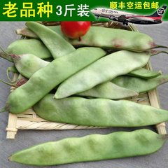 东北特产油豆角 新鲜一点红油豆角面豆开锅烂1500克3斤装顺丰包邮