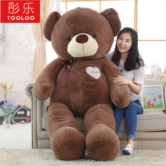 泰迪熊公仔抱抱熊 毛绒玩具 女生 布娃娃大熊猫抱枕 生日礼物大号