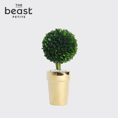 THE BEAST/野兽派 枪炮玫瑰鲜花-我把天空送给你12枝 鲜花速递