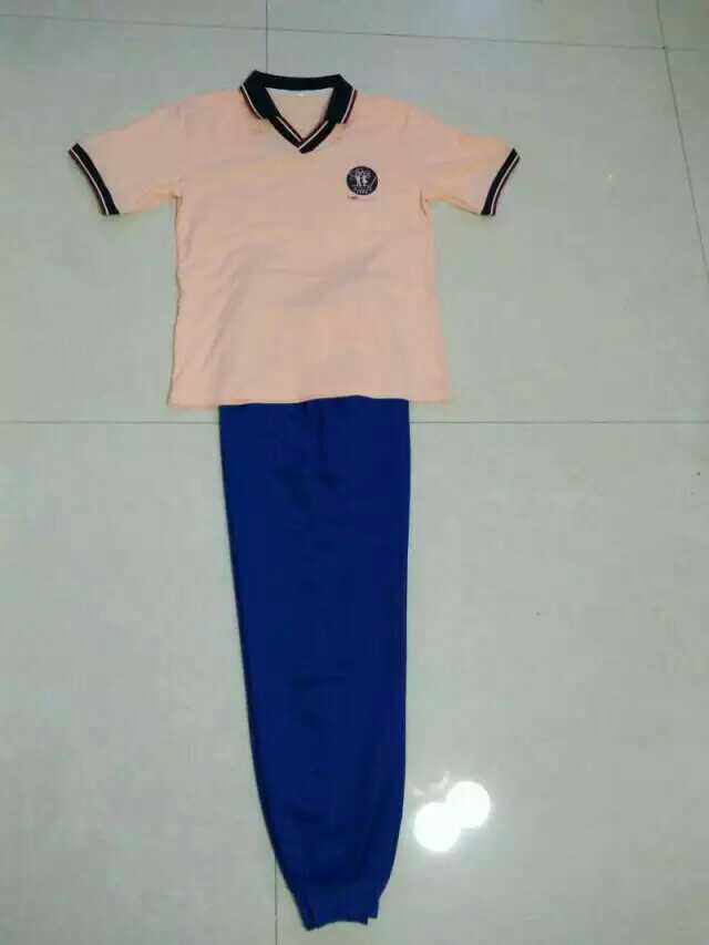 湖南省郴州市一中校服夏装/女生/纯棉