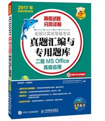 预售 全国计算机等级考试真题汇编与专用题库——二级MS Office高级应用