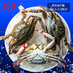 刘清 大连海鲜东沟飞蟹1000g/4-5只 鲜活水产 梭子蟹 活螃蟹母蟹