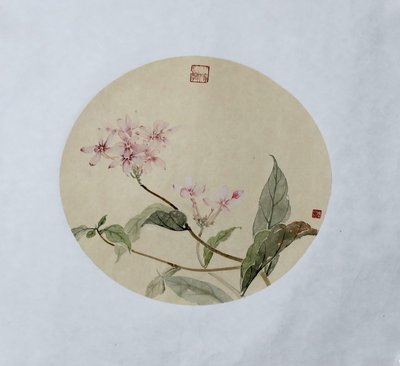 周磊《版纳写生之长寿花》