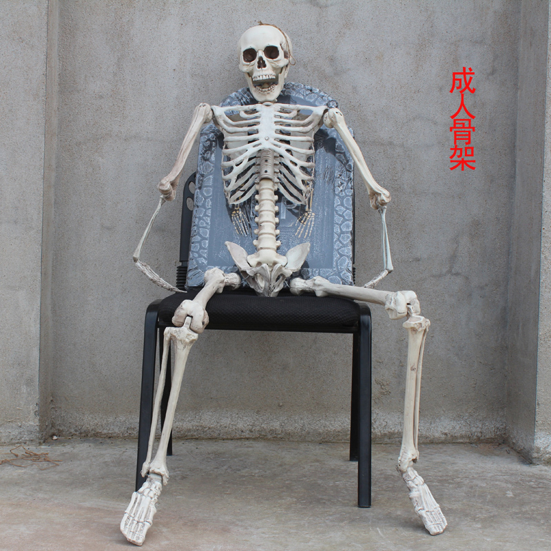 万圣节恐怖密室道具鬼屋逃脱机关仿人体骼模型骨头架盗墓骷髅骨架