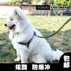 TODOG大中型犬狗狗胸背带牵引绳套装防冲击萨摩金毛边牧保护狗链