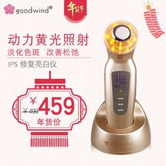 goodwind黄光淡斑美容仪脸部黑头洁面仪超声波离子导入导出按摩仪