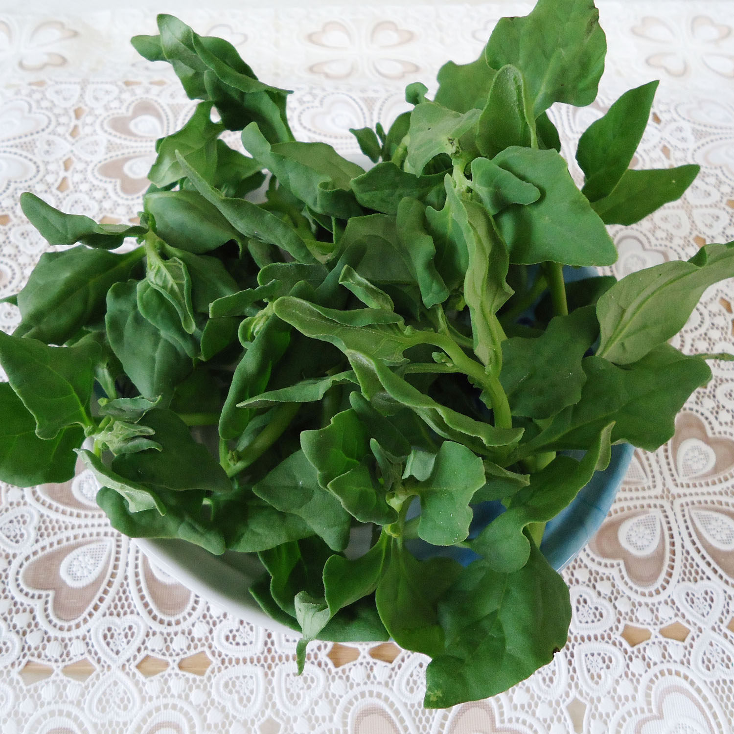 1公斤云南新鲜-野菜番杏蕃杏滨莴苣 产地低价直销酒店餐厅