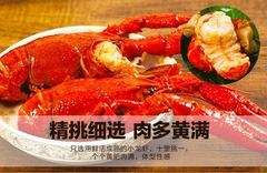 长荡湖麻辣7-9钱小龙虾3斤装活虾现烧熟食加热即食净虾1.6斤