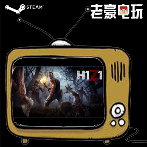 Steam平台H1Z1游戏武器皮肤衣服装备头盔背