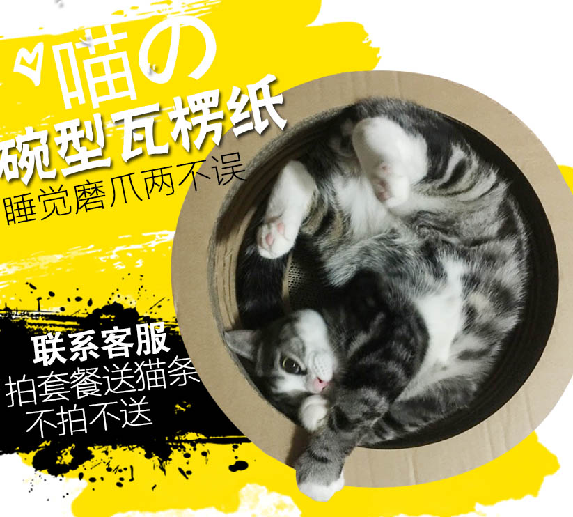 #一周热征#宠物#做合格铲屎官，从零开始的喵星人养成计划