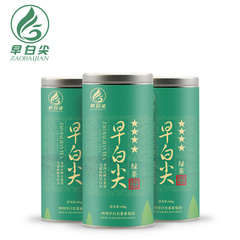 早白尖绿茶 2016年新茶 明前雀舌茶叶 四川高山绿茶 春茶特级100g