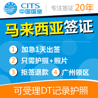 意大利签证欧洲申根签证意大利旅游商务签证绿