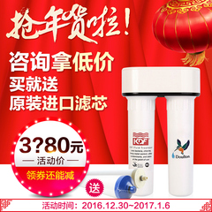 正品fairey道尔顿FIP2自来水净水器家用直饮水龙头台下过滤器