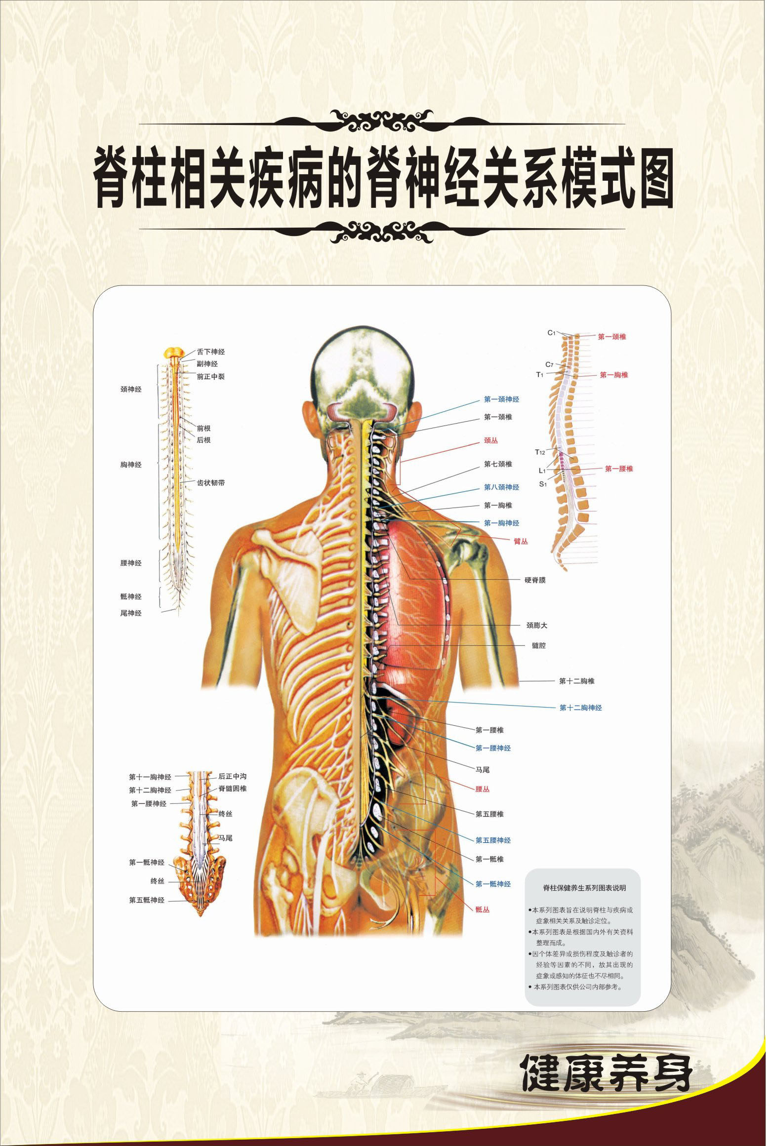 海报印制展板写真喷绘中医健康养生知识脊神经写真