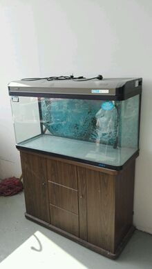 淘宝二手鱼缸过滤回收交易 - .