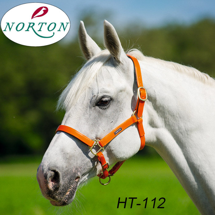 笼头法国进口norton水晶马笼头彩色pvc牵马西部巨人牵马