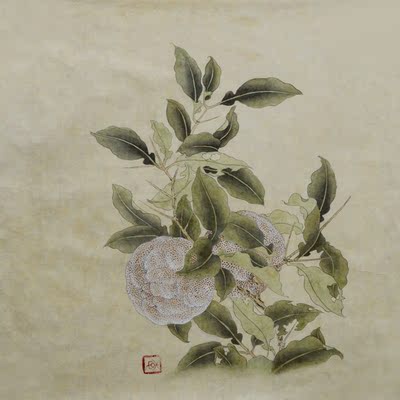 宋人小品3