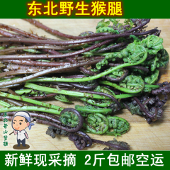 东北猴腿菜山菜新鲜野生山野菜蕨菜绿色250克4份包邮顺丰空运