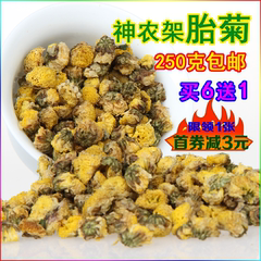 神农架胎菊花茶 农家精选正宗胎菊王黄金菊降火花草茶 250克g散装