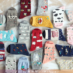 多款选 韩国可爱卡通动物女袜子 纯棉中筒袜女士短袜全棉袜子堆堆