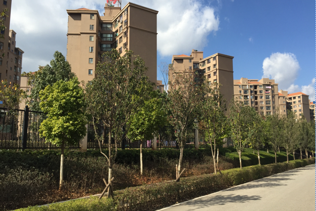 【第一次拍卖】滇池宜城f-4幢8层806号房屋