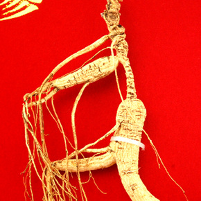 吉林融泽参茸拍卖会野山参专场_珍品拍卖 - 拍卖专场 - 阿里拍卖