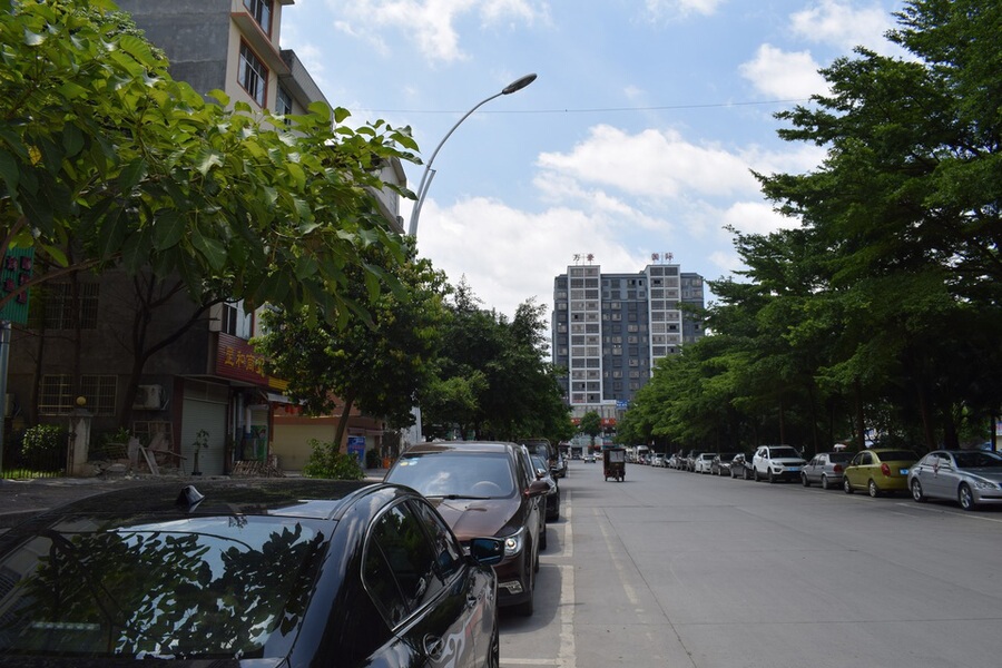 【第一次拍卖】位于平果县马头镇城龙路浪琴嘉苑二期住宅小区a幢1层4