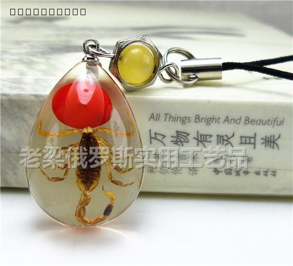 Z1昆虫水晶琥珀手机链挂件红豆蝎子寓意为爱情甜顺平安真虫 小号在类目 3C数码配件, 手机配件, 手机饰品, 手机挂件/手机链中 - 来自Buy2taobao.com提供专业的淘宝代购服务