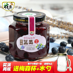花圣蜂蜜柚子茶柠檬茶芦荟茶蓝莓茶冲饮品水果茶韩国风味进口工艺