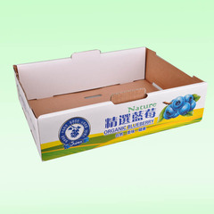 3斤蓝莓托盘礼品盒包装盒子都柿纸箱包装箱子批发通用现货彩印