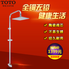 TOTO 正品卫浴 DM910C1R 花洒淋浴柱