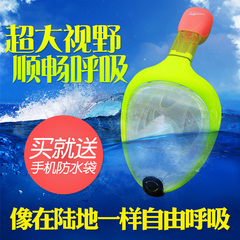 SEALS浮潜三宝防雾潜水镜全面罩 浮潜装备游泳成人全干式呼吸管