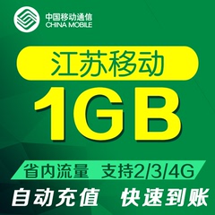 江苏移动1GB省内手机流量充值 上网加油包2g3g4g移动流量叠加包