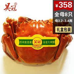 【现货】吴冠阳澄湖大闸蟹直销鲜活螃蟹母3.2-3.4两8只礼盒装