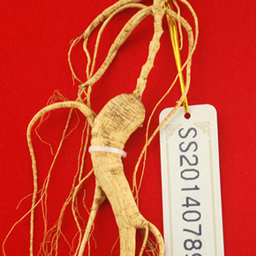 吉林融泽参茸拍卖会野山参专场_珍品拍卖 - 拍卖专场 - 阿里拍卖