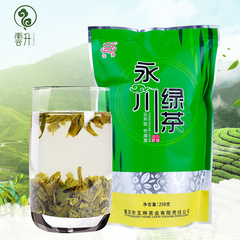 云升茶叶 春茶嫩芽 永川绿茶250g重庆名茶2016新茶袋装茶清香型