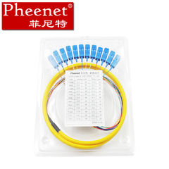 Pheenet菲尼特 SC12芯1.5米单模束状尾纤光缆跳线电信级可定做