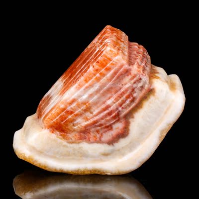 2210 天然碳酸盐质玉肉石摆件 重1.77kg 带皮五花肉