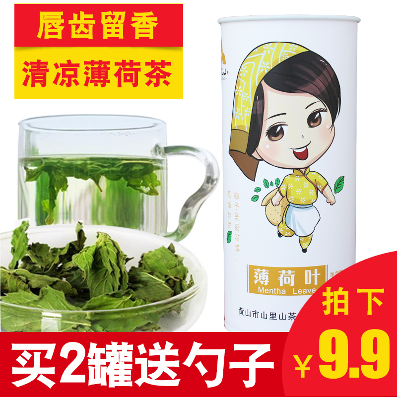 【买2送勺】薄荷叶 新鲜薄荷茶干薄荷叶 四季清凉茶 花草茶 包邮产品展示图4