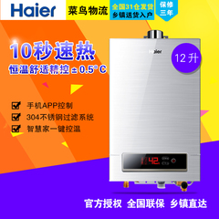 Haier/海尔 JSQ24-WT1（12T）12L燃气热水器恒温洗澡沐浴