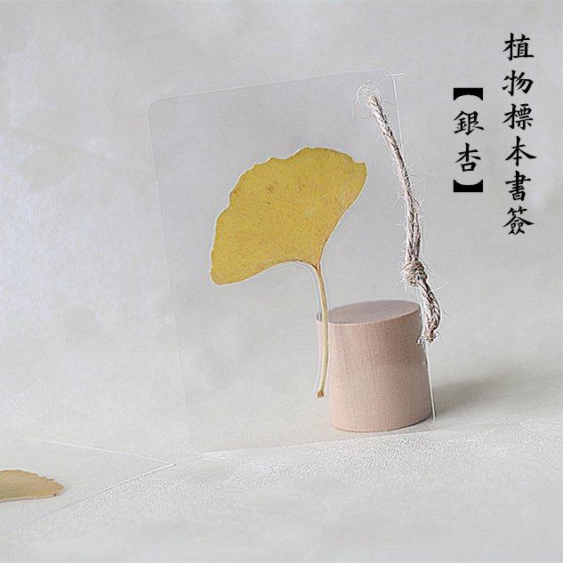 书签植物标本树叶银杏塑封创意同学小礼礼物书签